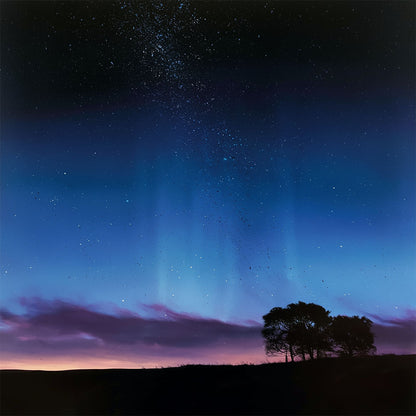 Aurora Rising