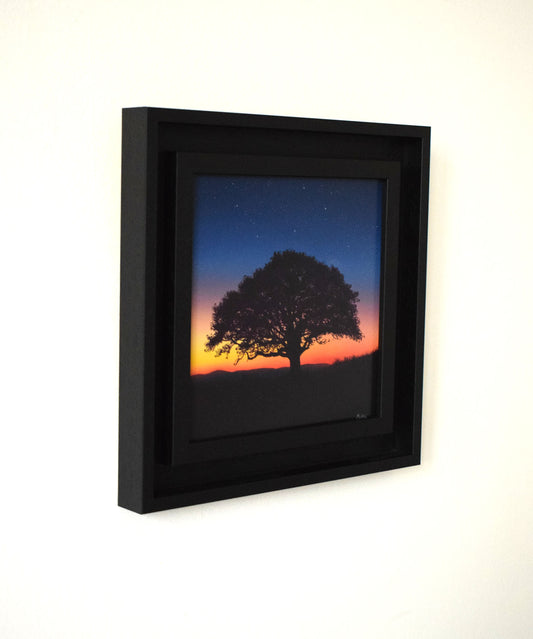 Oak Nightfall (Original Painting)