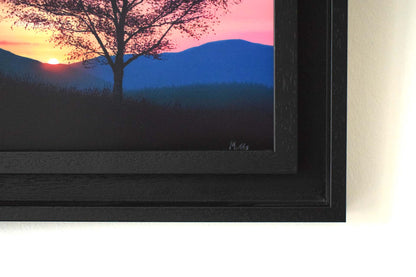 Violet Birch Sunset (Original Painting)