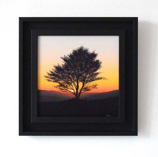 Warm Birch Glow (Original Painting)