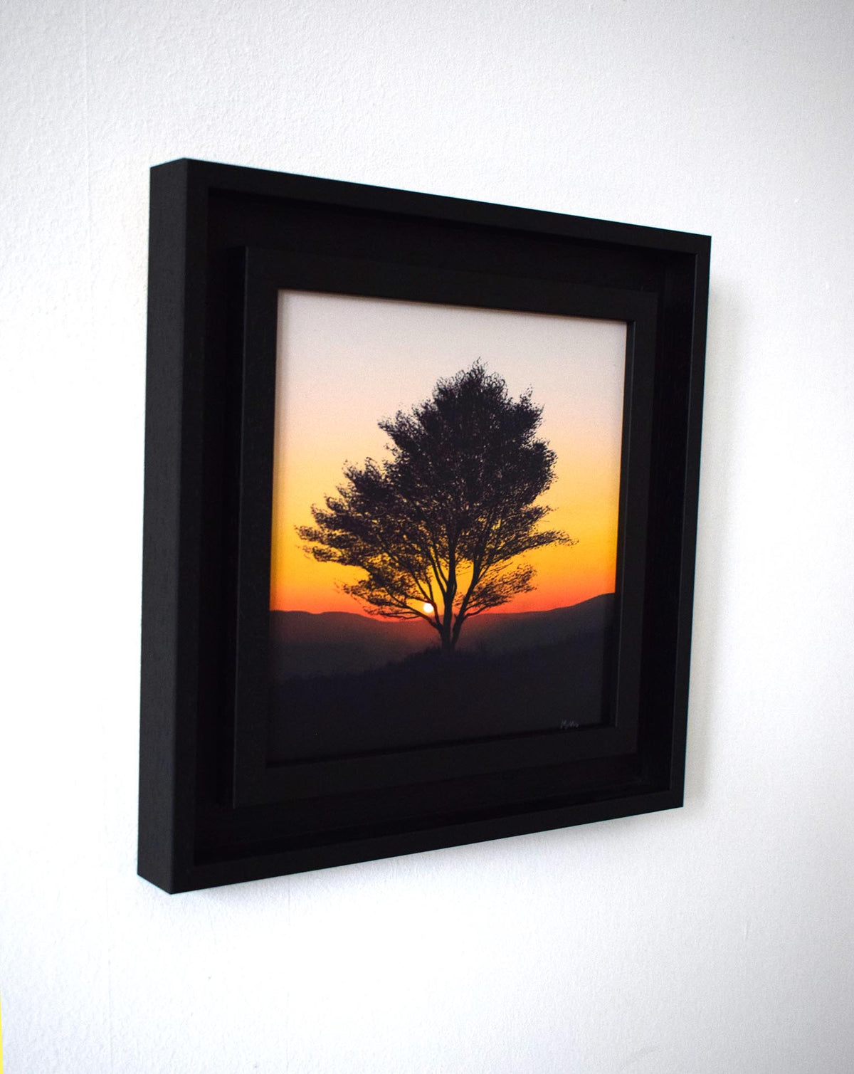 Warm Birch Glow (Original Painting)