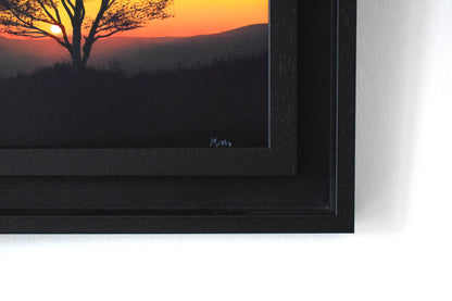 Warm Birch Glow (Original Painting)