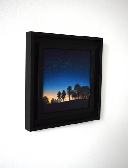 Starry Forest (Original Painting)