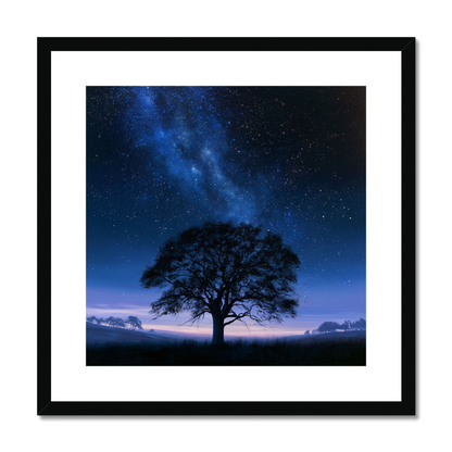 Oak Moonlight