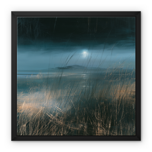 Moonlight Across the Shore