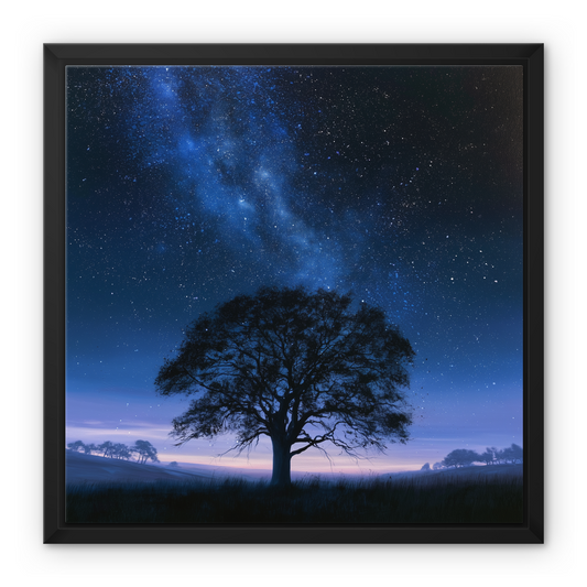 Oak Moonlight